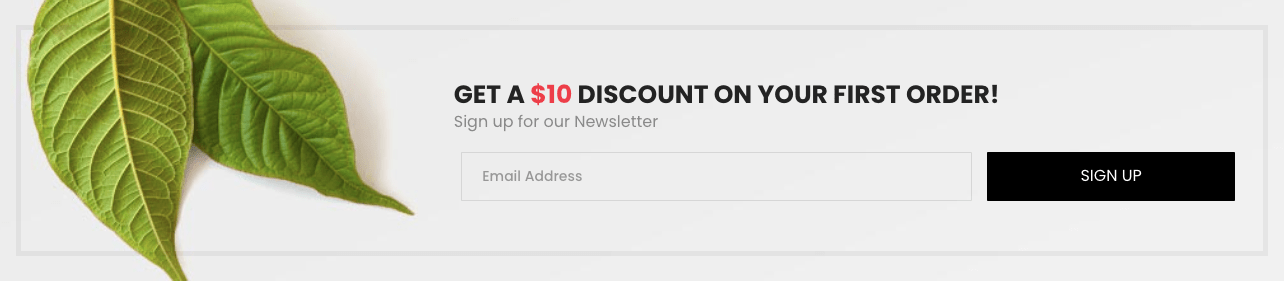 Discount Coupons