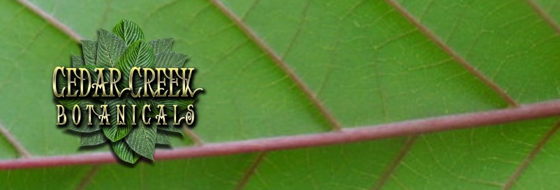 cedar creek botanicals logo and leaf background