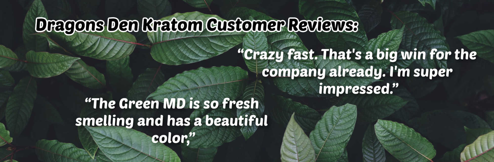 Dragon's den kratom customer review samples
