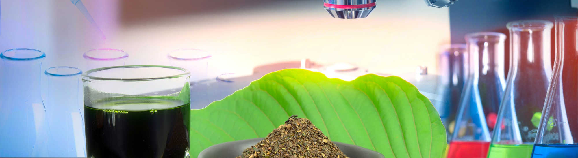 Depiction of Fire Wholesale kratom lab test